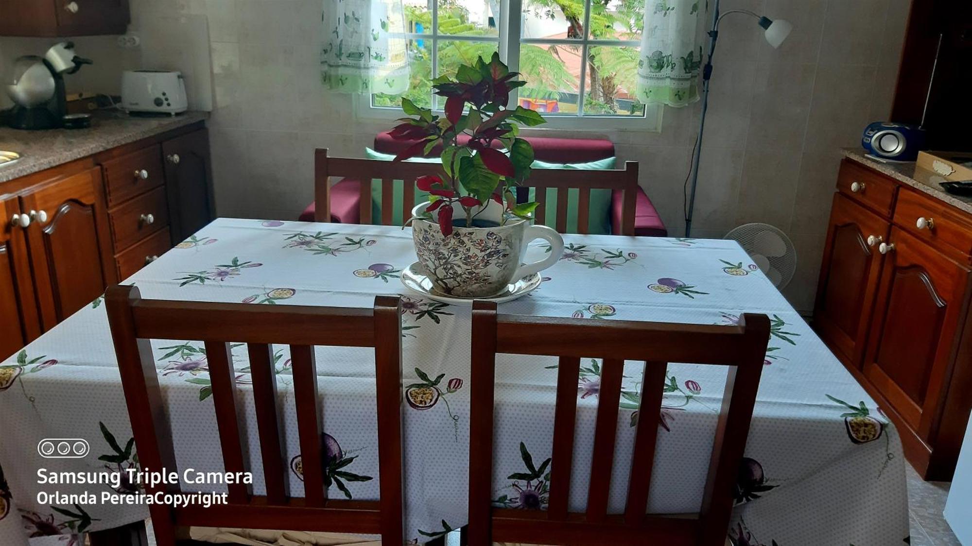 Terra Cha Cottage,Feel Home, São Vicente Exteriör bild