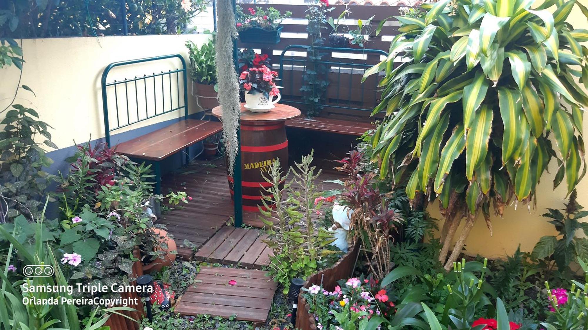 Terra Cha Cottage,Feel Home, São Vicente Exteriör bild