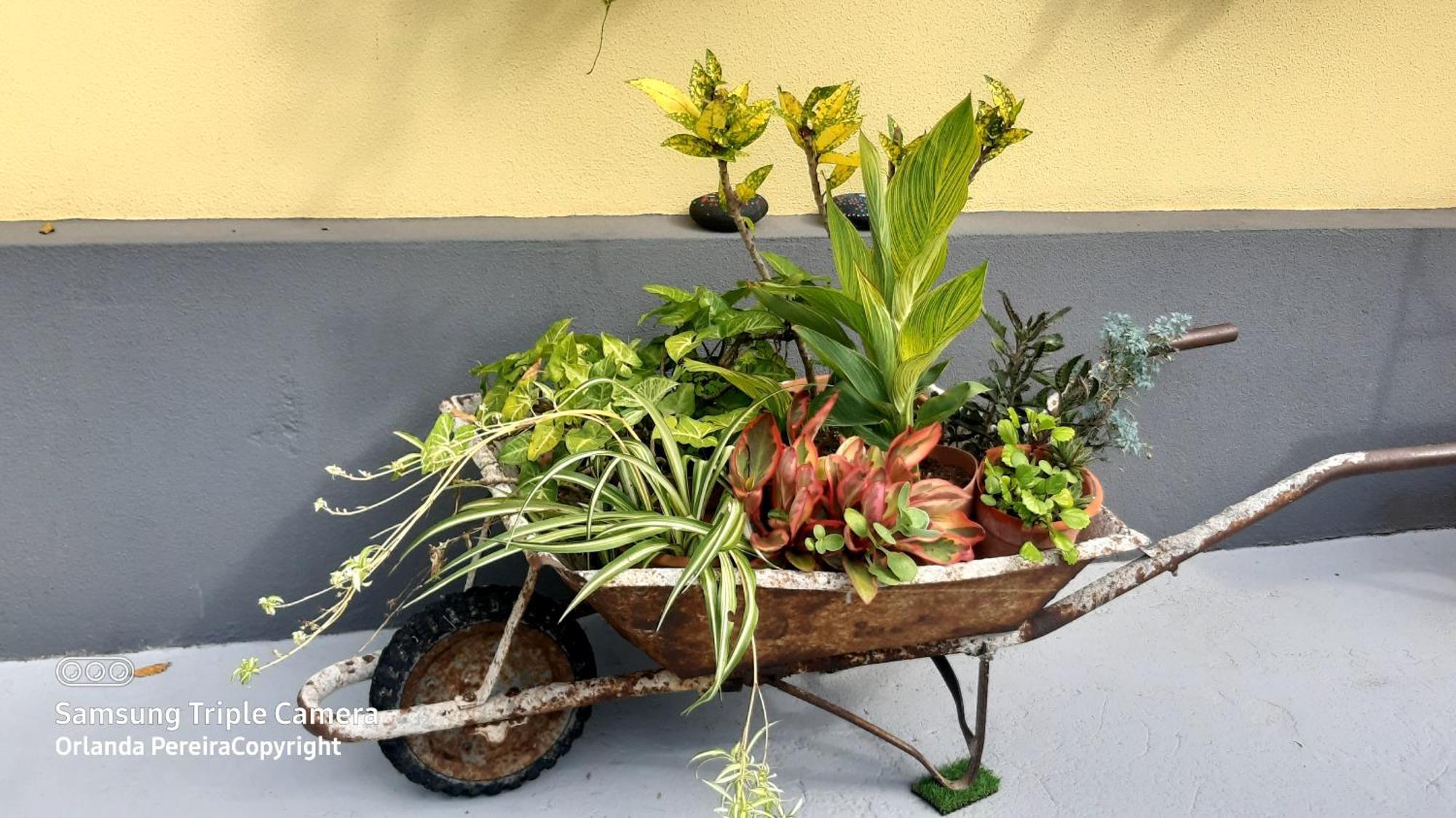 Terra Cha Cottage,Feel Home, São Vicente Exteriör bild