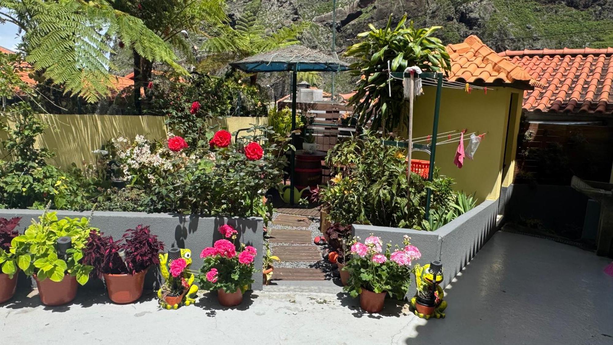 Terra Cha Cottage,Feel Home, São Vicente Exteriör bild